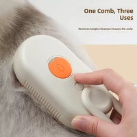 Peigne de toilettage pour animaux de compagnie en caoutchouc, avec pulvérisation de vapeur à un bouton, rechargeable par USB, pour éliminer les poils de chien et de chat sans lavage, massage et bain