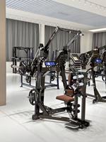 Machine à exercices professionnelle à charge libre pour fessiers, hanches et jambes, robuste