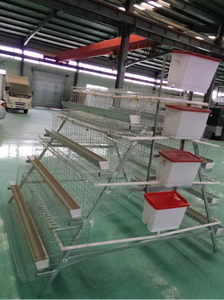 Cage à poules de type H, cage à poulets de type A, cage à poulets de chair, cage à poulets de ferme avicole, mangeoire, machine à laver les cages à poulets, cage à poulets en vente aux Émirats arabes unis - Product Image 5