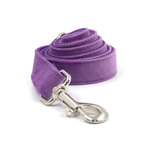 Heyri-Correa de terciopelo para perros, collar de entrenamiento para cachorros, color púrpura suave, mejor precio, alta gama - Product Image 4