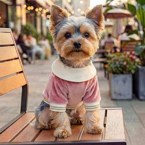 Sudadera con Capucha Gruesa para Perros, Estilo Moderno, Abrigo para Mascotas, Accesorio <span class=keywords><strong>de</strong></span> Ropa Diaria para Otoño e Invierno - Product Image 3