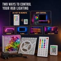 Muestra Gratuita de Tira de Luces LED RGB Impermeables de 5m/10m, Kit de Luces LED Multicolor 5050/3825 con Control Remoto IR para TV, Hogar, Dormitorio, 24V