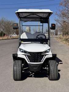 Carro de Carga, Buggy de Golf, Camioneta Eléctrica, Vehículo Utilitario de Transporte, Buggy de Golf con Certificación CE para Carreteras No Públicas - Product Image 2