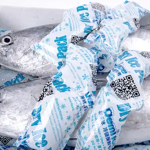 Toptan soğutucu 12 24 hücre levha OEM dondurma soğuk jel buz paketleri gıda teslimat için nakliye soğutma buz torbası