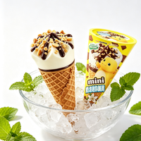 Cornets de crème glacée instantanés premium, saveurs chocolat, noix, épices, herbes, mini cornets croustillants, crème glacée molle, marque 18