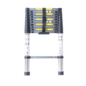 Escalera Telescópica Plegable de un Solo Lado <span class=keywords><strong>Lidl</strong></span> En131, Acero Inoxidable, Capacidad de Carga de 150 kg, Exterior, <span class=keywords><strong>Supermercado</strong></span>, Hecho en China - Product Image 1