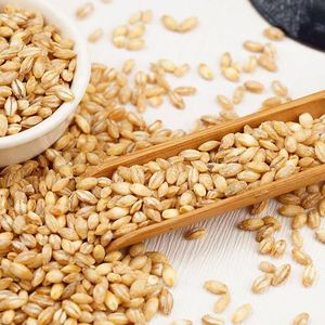 بذور الشعير المجففة لتغذية الحيوانات نوع من العشب المغذي - Product Image 4