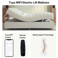 Intelligente Elektrische Moderne Bettmatratze Rücken- & Beinhebung Schwerelosigkeit Anti-Schnarch-Matratze Tuya App-Steuerung Wohnmöbel