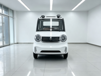 Mini camionnette électrique à faible vitesse, nouvelle énergie, petit véhicule utilitaire électrique pour livraison urbaine et opérations agricoles 1000W