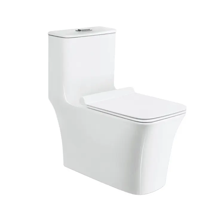 Medyag Toilet penyiram sifon keramik mewah Inodoro s-trap tanpa bingkai Dual Flush satu bagian Toilet