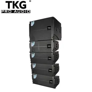 TKG FA210 900W dual 10 line array speakers sound system