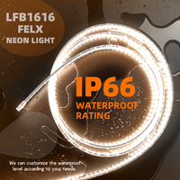 Bande lumineuse LED flexible en silicone, design fin personnalisé, découpable, étanche IP66, pour l'extérieur, les parcs, les allées