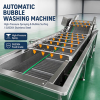 Industriële machines voor het reinigen, drogen en verwerken van verse groenten en fruit, inclusief wasmachine voor gedroogde dadels, te koop.