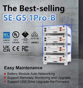 แบตเตอรี่ลิเธียมไอออน Lifepo4 รุ่น G5.1 Pro-B 6000 รอบการใช้งาน 51.2V 100Ah 5Kwh แบบติดตั้งบนแร็ค สำหรับระบบพลังงานแสงอาทิตย์ - Product Image 4