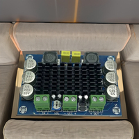 XH-M542 monocanal bricolage haute puissance Mini amplificateur Module TPA3116D2 carte Audio numérique pour un usage domestique