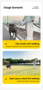 Produsen grosir kerah anjing ringan dapat dipanjangkan, latihan traksi otomatis mewah awet dengan LED - Product Image 5