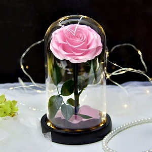 Rosas de Cristal Eternas con Luz, <span class=keywords><strong>Rosa</strong></span> Infinita, Flores Preservadas en Cúpula de Cristal, Cúpula de Cristal LED con Base de Madera - Product Image 4