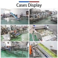 Commerciële machine voor het snijden, wassen en drogen van groenten voor salades, 1000-2000 kg/uur, voor de verwerking van verse snijgroenten in een verwerkingsbedrijf