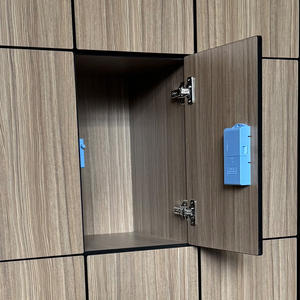 FMH Flat Pack HPL Fenólico Compacto Laminado Locker Gimnasio Madera Locker - Product Image 5
