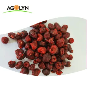 Bulk selling good price and quality freeze dried sugar-infused raspberry