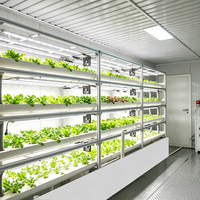 Ferme en conteneur maritime 40HQ entièrement automatisée, système d'agriculture verticale clé en main pour la production commerciale de légumes