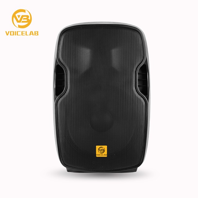NEW VOICELAB ELA-DM100GH2U7 Professional 2-Way Full Range Amplifier Audio DJ Home Party Subwoofer Woofer Active Portable Speaker