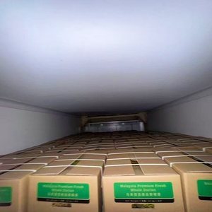 Durian in atmosfera modificata, esportazione via mare, maturazione lenta - Product Image 4