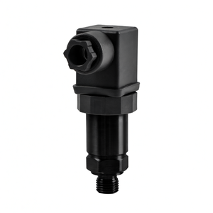 Transmisor de Presión de Aire Herssman 0-10v, 100bar 400bar, Proveedor Chino - Product Image 2