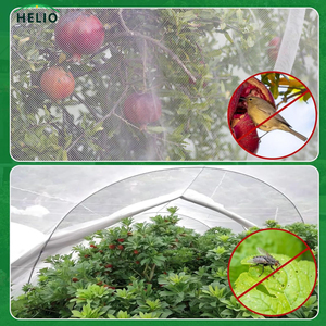 <span class=keywords><strong>Filet</strong></span> <span class=keywords><strong>anti</strong></span>-oiseaux de protection UV pour jardin, protège les légumes et les arbres fruitiers, <span class=keywords><strong>filet</strong></span> <span class=keywords><strong>anti</strong></span>-oiseaux en nylon - Product Image 4