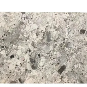 Losas de mármol de terrazo natural Mármol fósil gris para pared de piso interior China Pandora gris