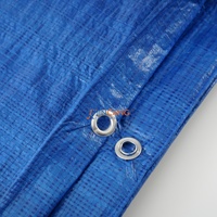Bâche de protection agricole en polyéthylène stabilisée aux UV, imperméable, pour usage agricole et en serre