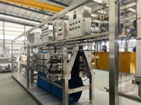 Ferme avicole halal, abattoir de poulets de chair, petite usine d'habillage automatique de volaille