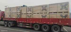 แผงโซลาร์เซลล์ LONGi LR7-72HVD HPBC2.0 แบบสองหน้า ประสิทธิภาพสูง 640W-665W รับประกัน 30 ปี แบบฮาล์ฟเซลล์ HBC - Product Image 5