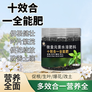 200g - Product Image 5
