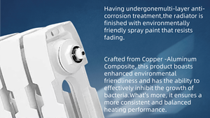 Radiateur <span class=keywords><strong>en</strong></span> <span class=keywords><strong>fonte</strong></span> haute efficacité Durée de vie de 50 ans pour le chauffage résidentiel et commercial - Product Image 4