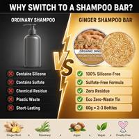 Shampooing Solide Artisanal au Gingembre Bio 60g Boîte Métallique Extrait Végétal Naturel Nourrissant le Cuir Chevelu Anti-Pelliculaire Sans Cruauté Végétalienne Végan OEM