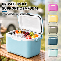 Glacière isotherme portable en plastique de 10 litres pour le camping, mini-glacière rigide pour aliments, pour le camping et la conservation de la fraîcheur