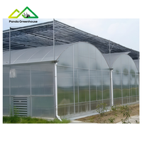 Serre multi-spans à dôme large en panneaux de polycarbonate, structure stable, montage facile pour la culture de légumes et de fruits - Vente chaude