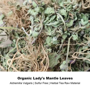 Hierba Seca de Alchemilla Japonica (Lady's Mantle, <span class=keywords><strong>Nakai</strong></span> Doupeng, Cao Yuyi) - Planta Popular entre las Mujeres - Product Image 3