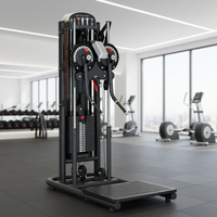 Appareil de musculation multifonctionnel pour salle de sport, machine à traction latérale et à levée latérale, avec système de charge par broche, pour entraînement en position debout