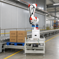 Palettiseur automatisé de fin de ligne 50 kg avec ventouses pour le chargement de cartons et l'empilage de produits finis