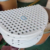 Plateau tamis en PTFE résistant à la corrosion, plaque poreuse perforée en PTFE pour les éléments internes de colonne