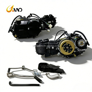 WANOU LIFAN <span class=keywords><strong>WIN</strong></span> 110CC Motor mit CDI-Zündung und Kickstarter, Motorrad-Motorenbausatz - Product Image 3