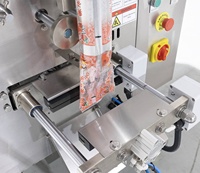 Offre Spéciale – Machine d'emballage verticale automatique 160Y pour sachets de liquides, remplissage par pompe à piston pour sauces, miel, huile, détergent