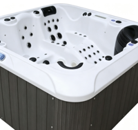 Bain à remous de luxe en acrylique, spa à domicile, système de contrôle Balboa, avec chauffe-eau, baignoire d'hydrothérapie extérieure