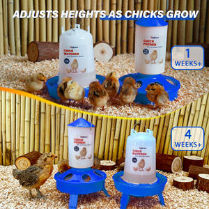 Set Mangiatoia e Abbeveratoio Sospeso per Pulcini, Set Alimentatore e Abbeveratoio per Pollaio - Product Image 6