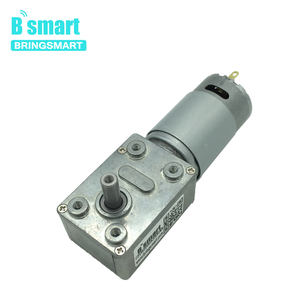 BringSmart SRY-395 gigi Worm, Motor gigi Worm elektrik Dc torsi tinggi mengunci sendiri 12v 24v - Product Image 6