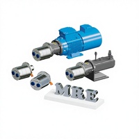 Pompe à engrenages miniature étanche à l'huile avec moteur, débit de 1L/min, pompe doseuse de fluide micro, haute pression, fabriquée en Chine