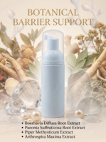 Production en gros, emballage personnalisé, extrait de kava, mousse féminine pour le soin délicat de la barrière cutanée, utilisation quotidienne