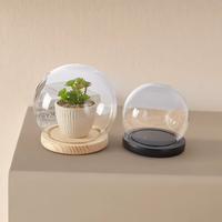 Cloche en verre borosilicate de haute qualité avec base en verre et accents en bambou, idéale pour la décoration intérieure (vente en gros)